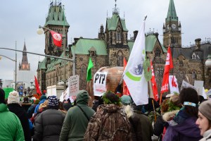 L'arrivée sur la colline !
