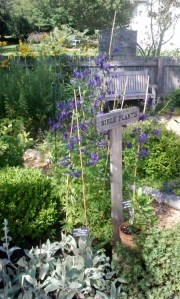 Le jardin Bigelow. Georgeville.